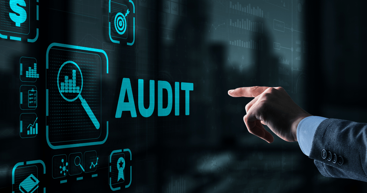 Audit System in Every Company